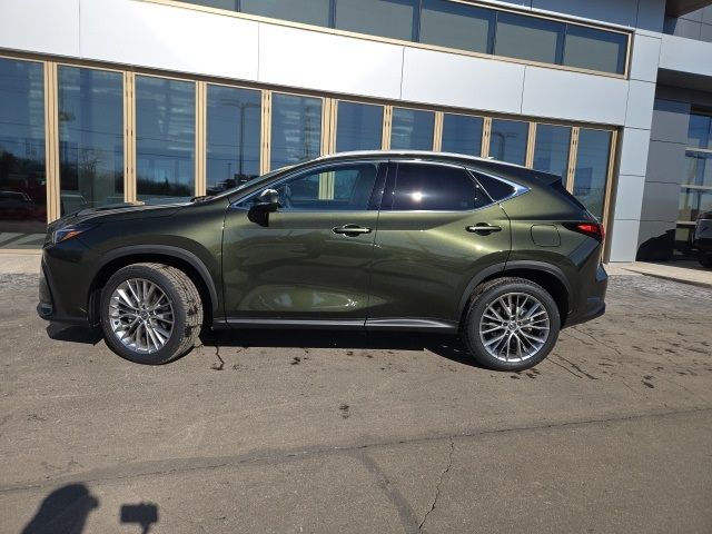 2025 Lexus NX 350 Premium