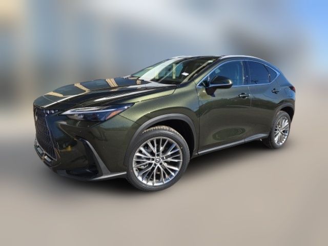 2025 Lexus NX 350 Premium