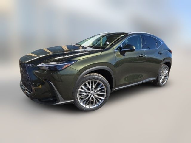 2025 Lexus NX 350 Premium