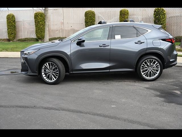 2025 Lexus NX 350 Premium