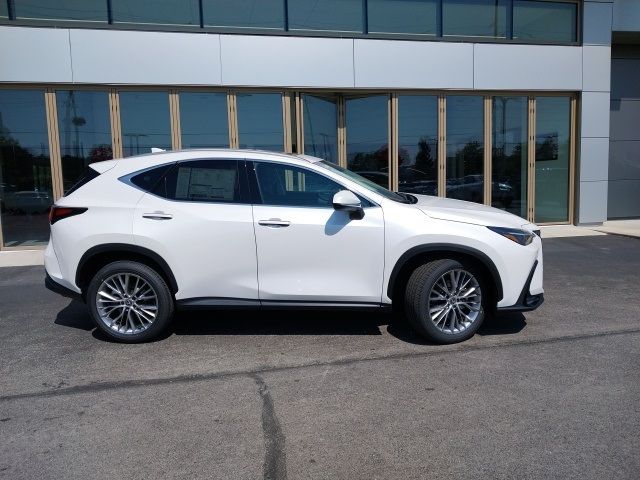 2025 Lexus NX 350 Premium