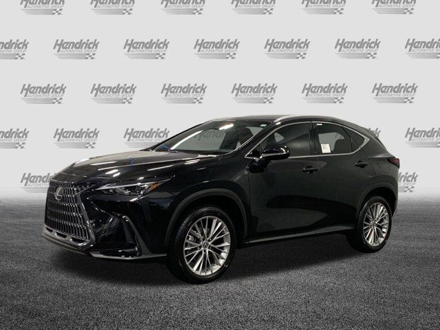 2025 Lexus NX 350 Premium