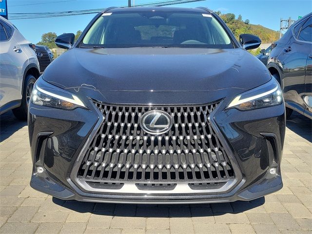 2025 Lexus NX 350 Premium