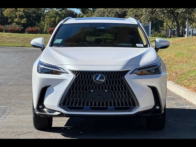 2025 Lexus NX 350 Premium