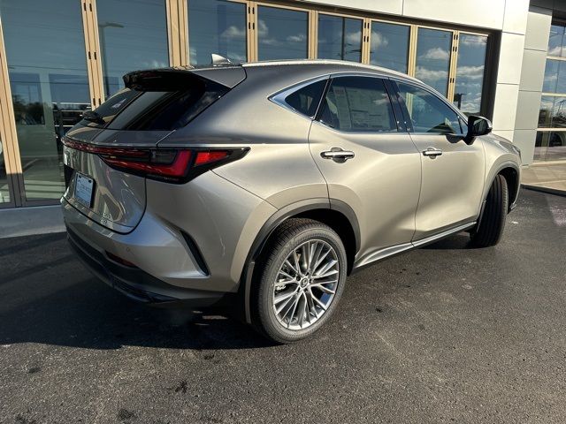 2025 Lexus NX 350 Premium