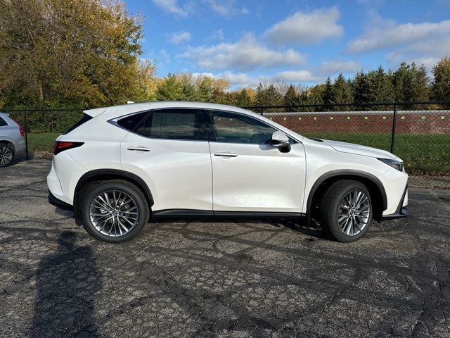 2025 Lexus NX 350 Premium