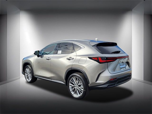 2025 Lexus NX 350 Premium