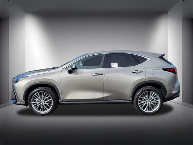 2025 Lexus NX 350 Premium