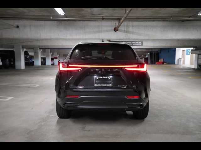 2025 Lexus NX 350 Premium