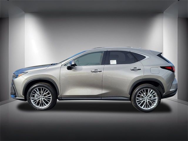 2025 Lexus NX 350 Premium