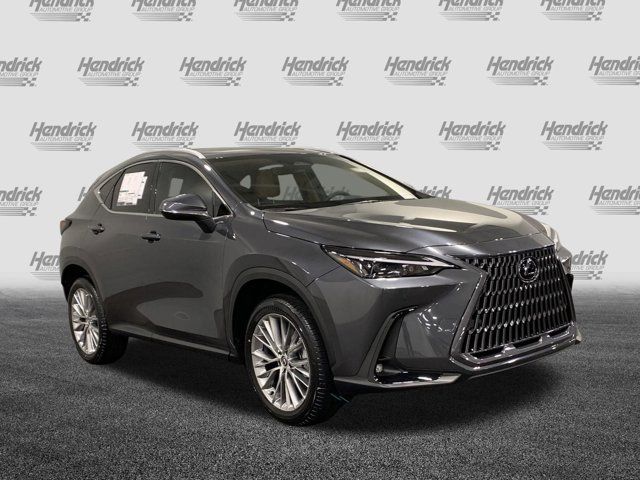 2025 Lexus NX 350 Premium