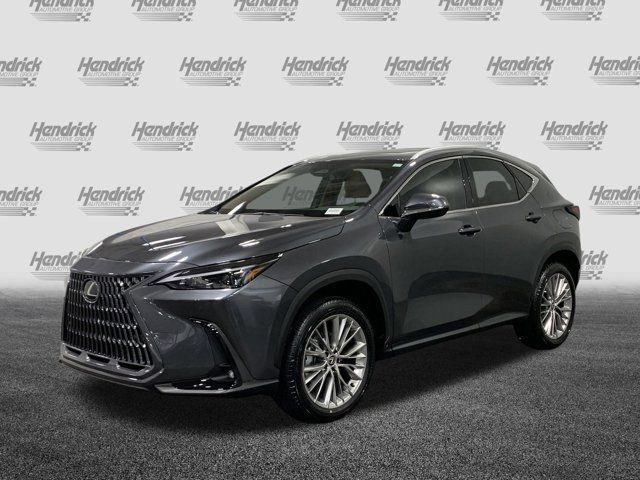 2025 Lexus NX 350 Premium