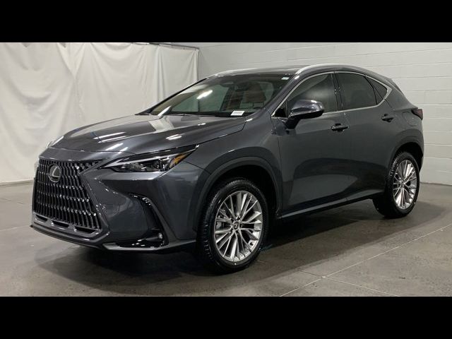 2025 Lexus NX 350 Premium