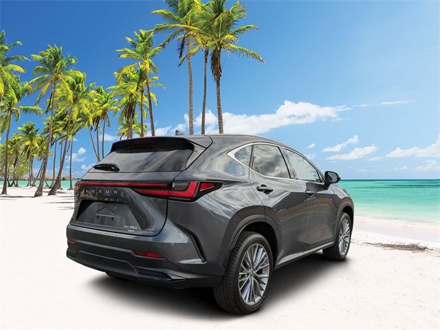 2025 Lexus NX 350 Premium