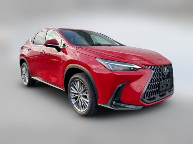 2025 Lexus NX 350 Premium