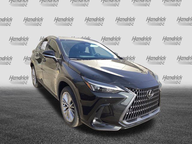 2025 Lexus NX 350 Premium