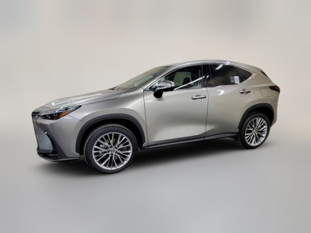 2025 Lexus NX 350 Premium