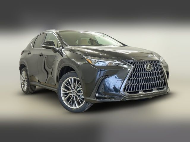 2025 Lexus NX 350 Premium