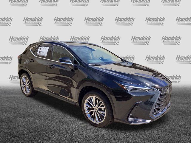 2025 Lexus NX 350 Premium