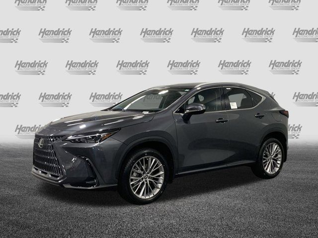 2025 Lexus NX 350 Premium