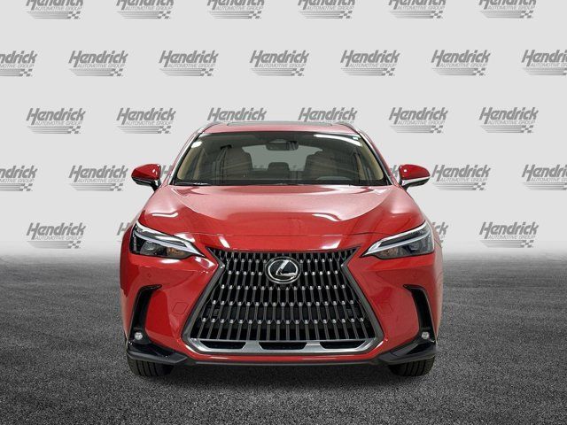 2025 Lexus NX 350 Premium