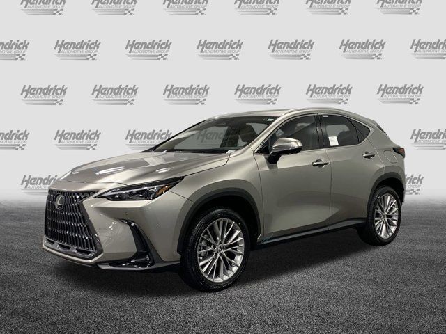 2025 Lexus NX 350 Premium