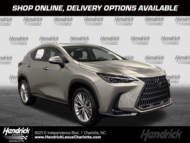 2025 Lexus NX 350 Premium