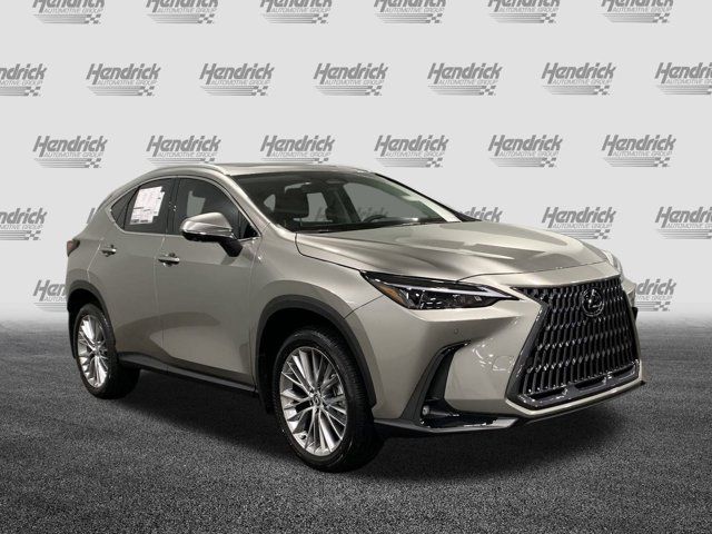 2025 Lexus NX 350 Premium