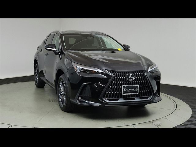 2025 Lexus NX 350 Premium