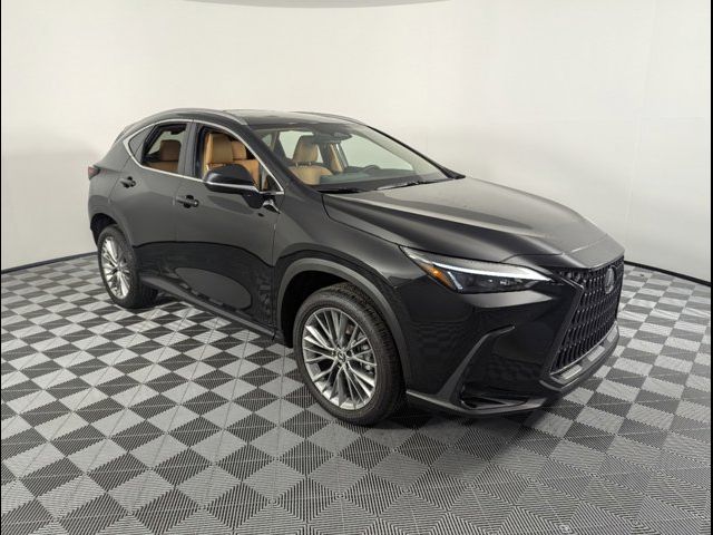 2025 Lexus NX 350 Premium