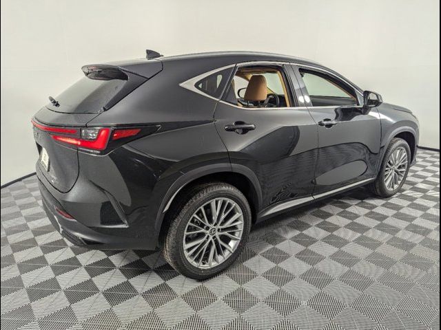 2025 Lexus NX 350 Premium