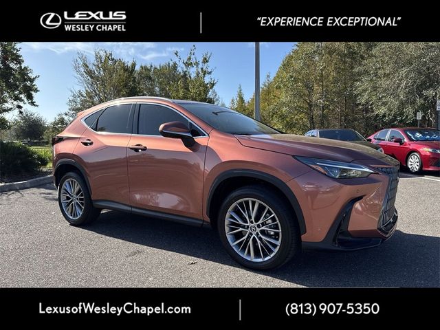 2025 Lexus NX 350 Premium