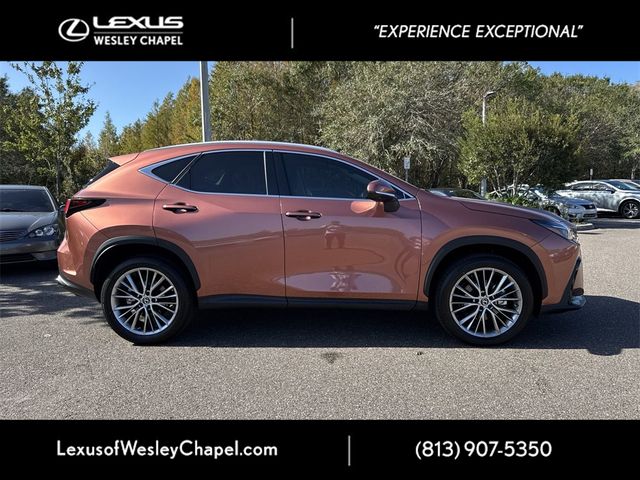 2025 Lexus NX 350 Premium