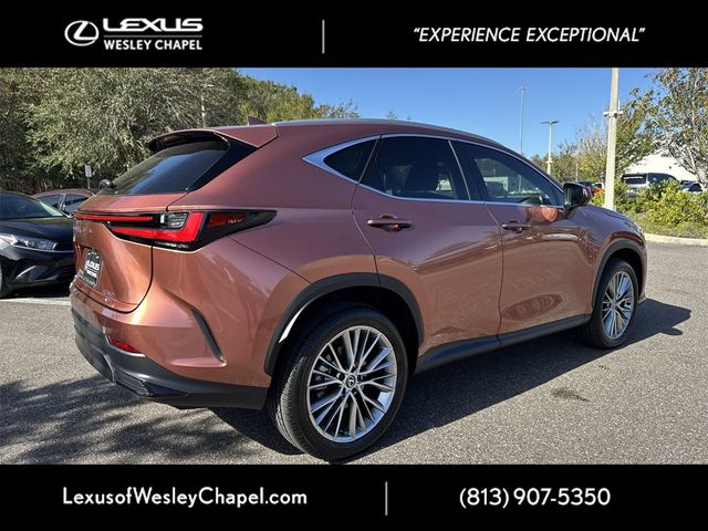 2025 Lexus NX 350 Premium