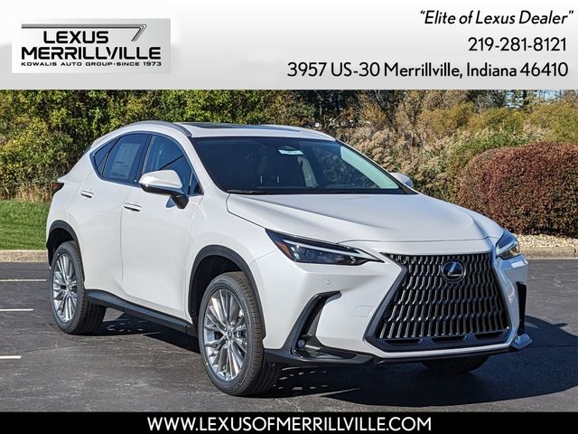 2025 Lexus NX 350 Premium