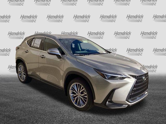 2025 Lexus NX 350 Premium