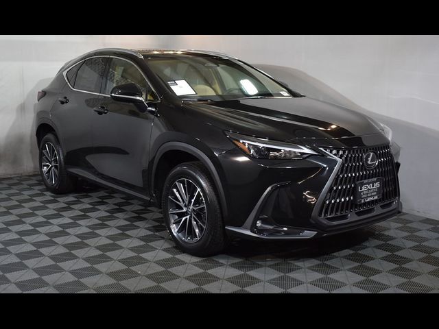 2025 Lexus NX 350 Premium