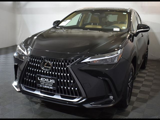 2025 Lexus NX 350 Premium