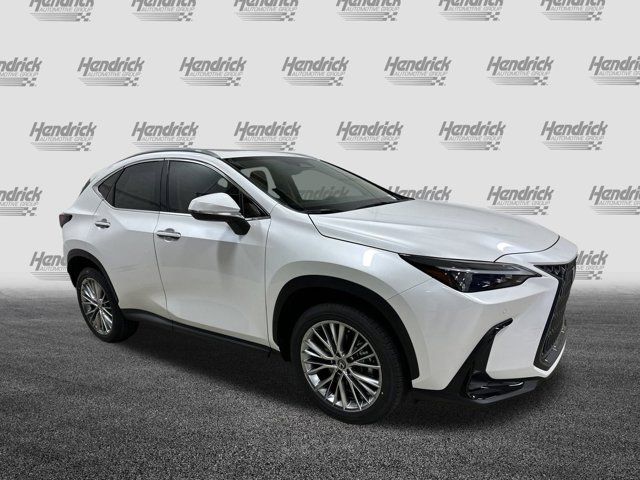 2025 Lexus NX 350 Premium