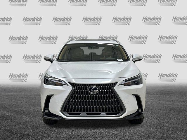 2025 Lexus NX 350 Premium