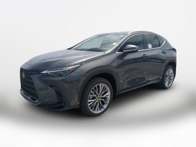2025 Lexus NX 350 Premium
