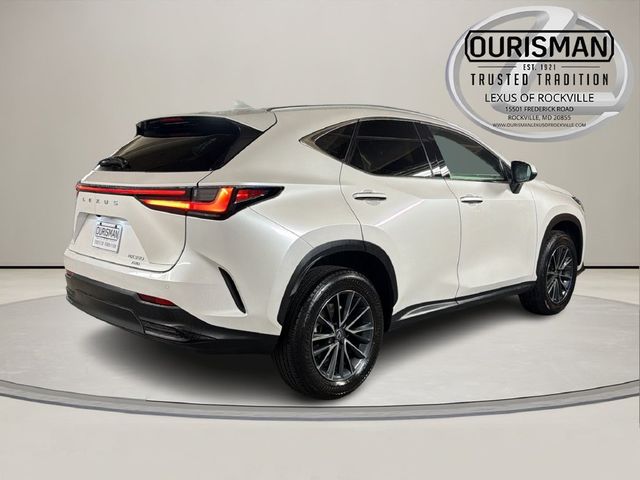 2025 Lexus NX 350 Premium