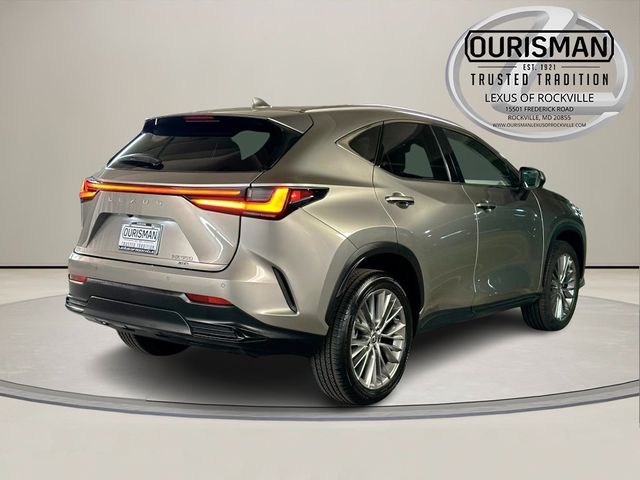 2025 Lexus NX 350 Premium