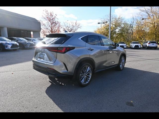 2025 Lexus NX 350 Premium