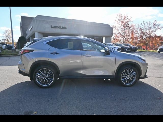 2025 Lexus NX 350 Premium