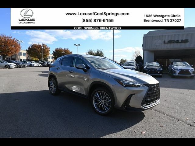 2025 Lexus NX 350 Premium