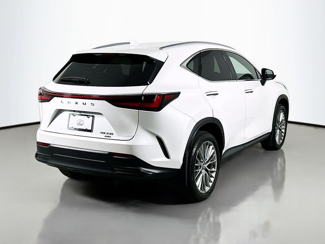 2025 Lexus NX 350 Premium