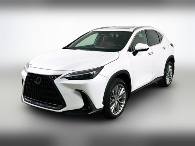 2025 Lexus NX 350 Premium