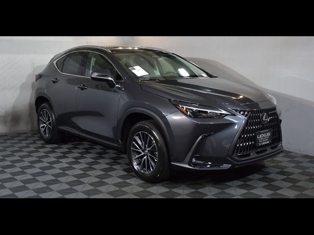 2025 Lexus NX 350 Premium