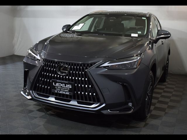 2025 Lexus NX 350 Premium